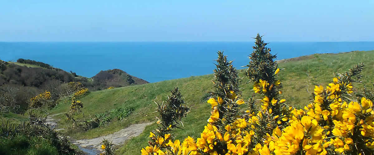 Views of Tregardock Cliffs